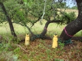 johnkingranch0508-004