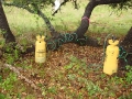 johnkingranch0508-006