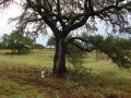 johnkingranch0508-008_0