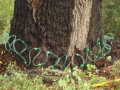 johnkingranch0508-013