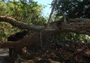 storm-12