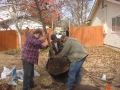 tree-fertilization-02