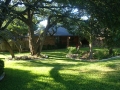 austin complete tree service company