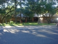 tree care austin