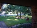 austin texas tree care