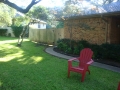 austin tree services