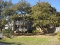 tree-trimming-03