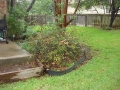 tree-trimming-17